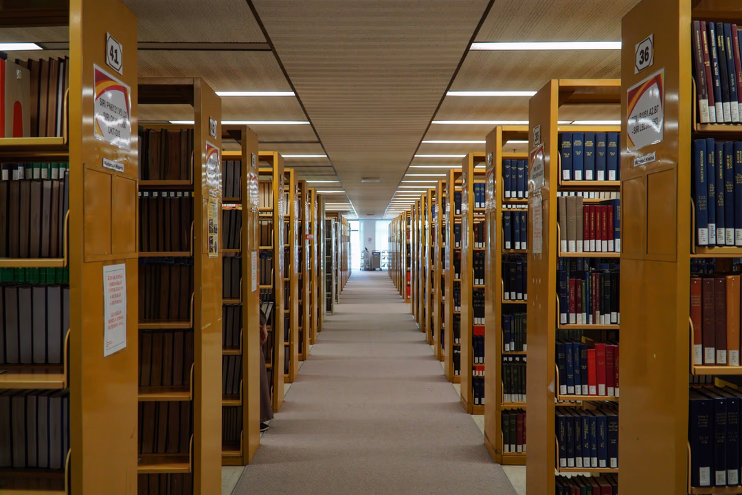 圖書館裡一整排書架延伸到走道盡頭，象徵仍然只能由人寫出來、而且數量有限的那部分語料